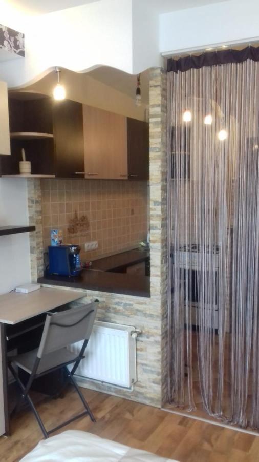 Alexandra 'S Studio Apartment บราชอฟ ภายนอก รูปภาพ