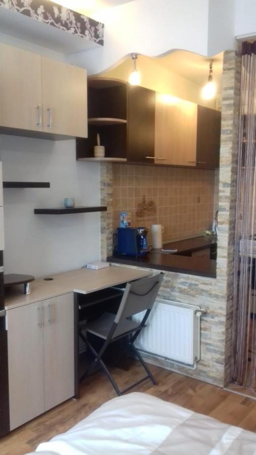 Alexandra 'S Studio Apartment บราชอฟ ภายนอก รูปภาพ